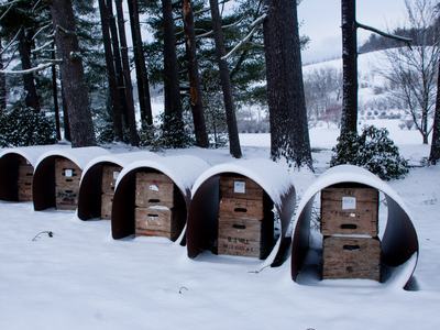 Series of small sheltered boxes sitting in the snow