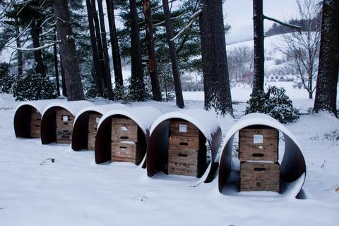 Series of small sheltered boxes sitting in the snow