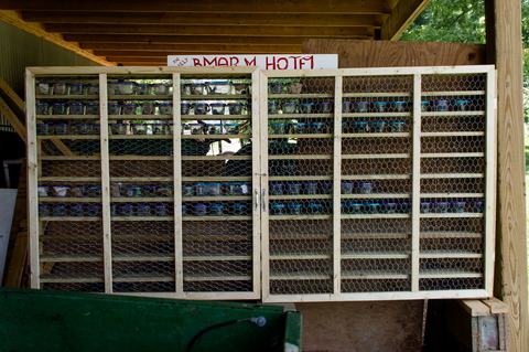 Enclosed shelves containing small cages