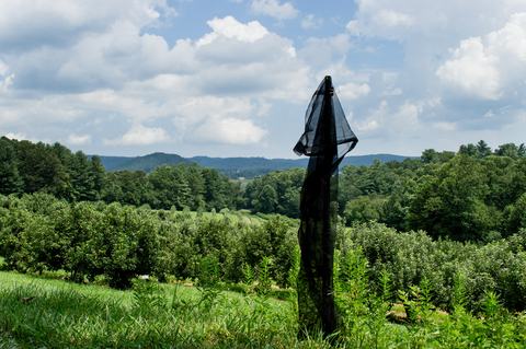 Black net on 6-foot pole at edge of apple orchard