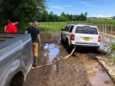 People trying to pull stuck Jeep out of muddy tomato field using truck