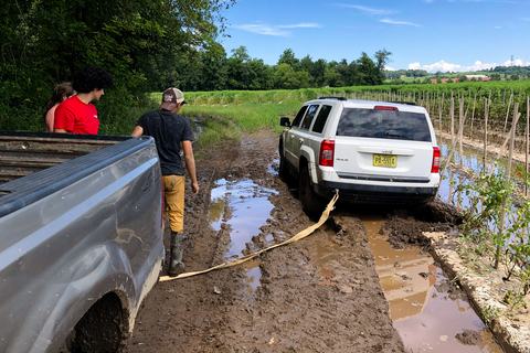 People trying to pull stuck Jeep out of muddy tomato field using truck