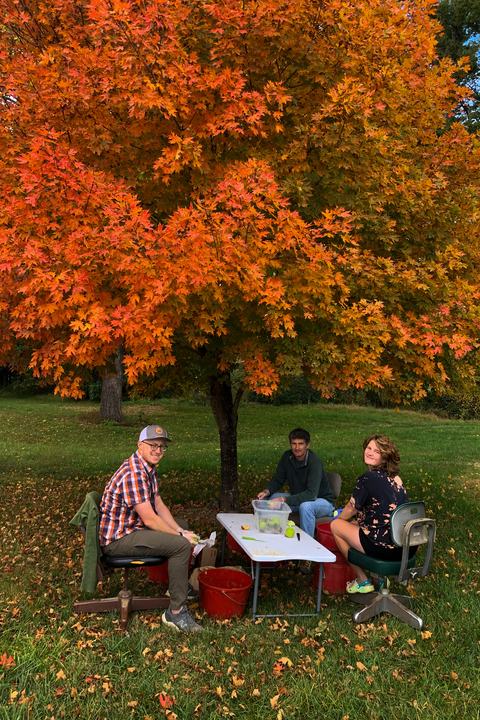 People working at table under an orange maple tree