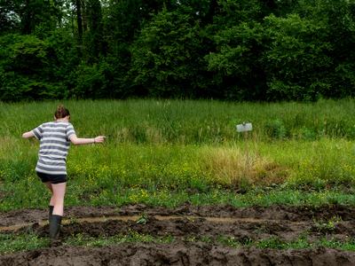 Person walking through mud to reach stink bug trap