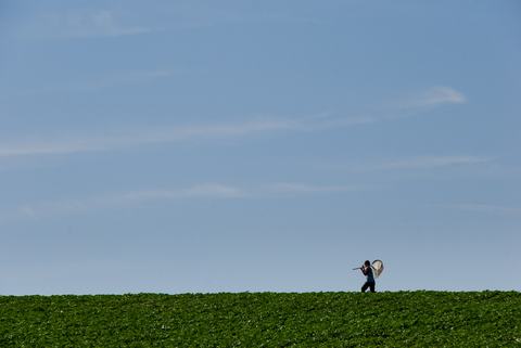 Distant view of person carrying insect net through soybean field against blue sky