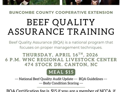 bqa flyer