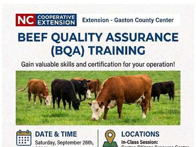 BQA Training Agenda