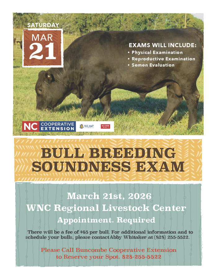 BSE 2026 Spring
