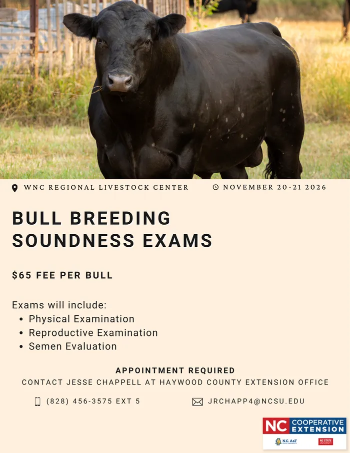 Bull Breeding Soundness Exams take place November 20 and 21, 2026 at WNC Regional Livestock Center.  Contact Buncombe Extension to schedule an appointment at 828-255-5522.