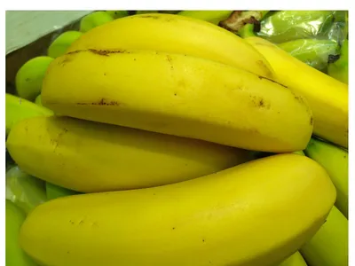 A cluster of bananas