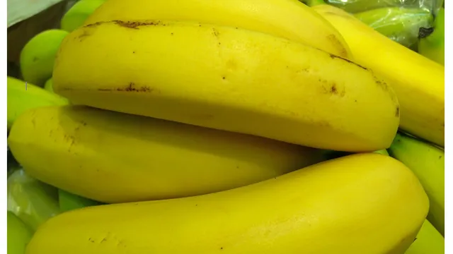 A cluster of bananas