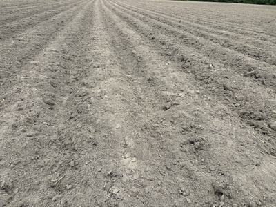 Seedbeds prepared near Oak City NC