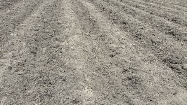 Seedbeds prepared near Oak City NC