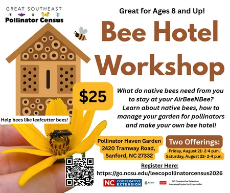 bee hotel workshop flyer