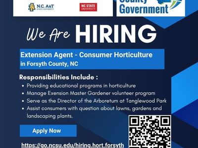 Flyer showing We are Hiring an Extension Agent for Consumer Horticulture in Forsyth County. Details included in the news story.