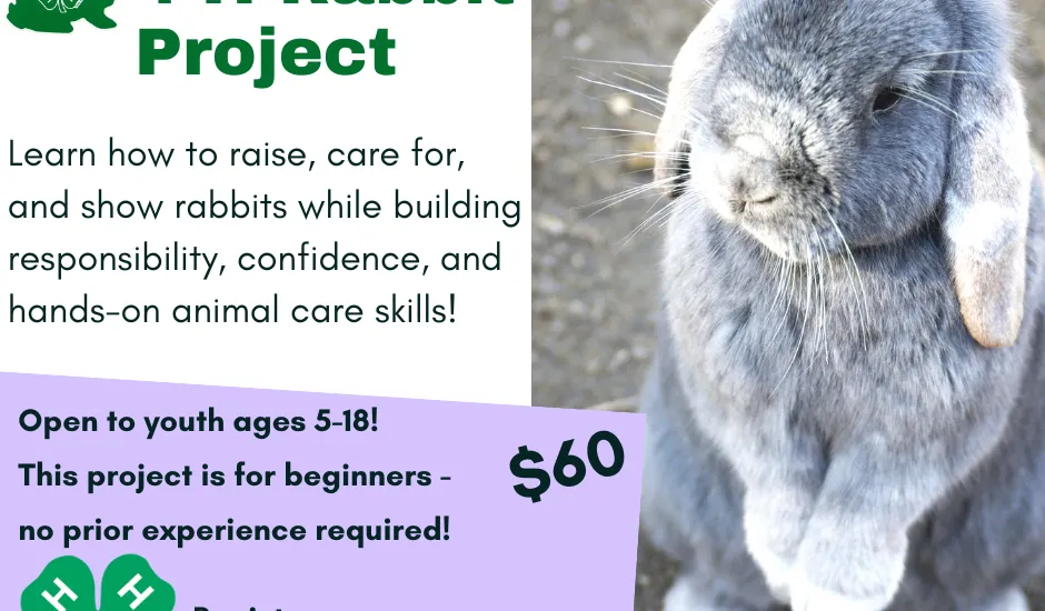 Project Context For Rabbit Blue Ridge 4-H Rabbit Project - Buncombe County Center | N.C ...