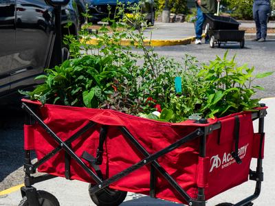 Bring a wagon to this year's plant sale for a shorter wait