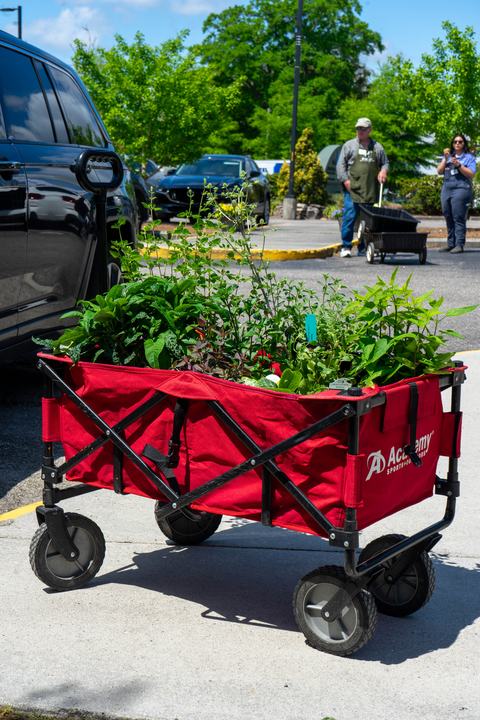Bring a wagon to this year's plant sale for a shorter wait