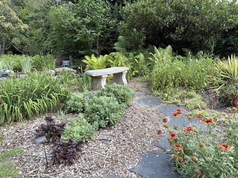 garden pathway that leads to a bench with various green plants on either side and behind the bench and a flowering plant in the foreground