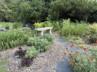 garden pathway with various green and flowering plants on either side
