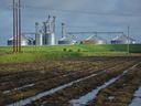 A farm landscape with wet fields, silos in the background, and stormy skies.