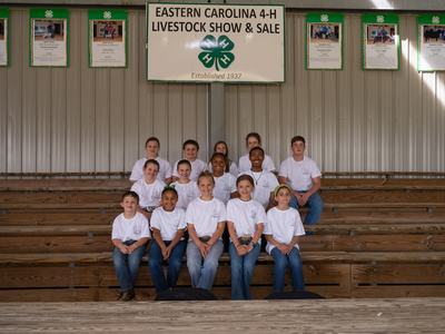 4-H youth group in white shirts poses on bleachers under livestock show sign.