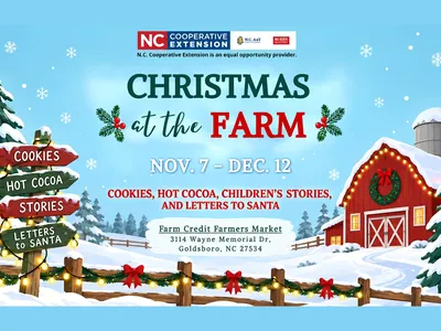 christmas at the farm