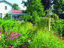 A colorful garden of native plants with a birdhouse in front of a white house. Includes coneflowers, coreopsis and many other colorful wildflowers.