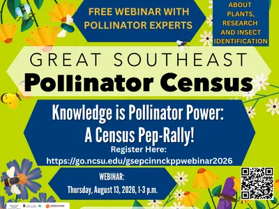 webinar graphic poster