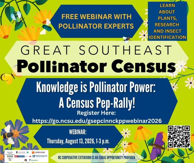 webinar graphic poster