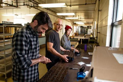 Three people planting seeds in trays of soil