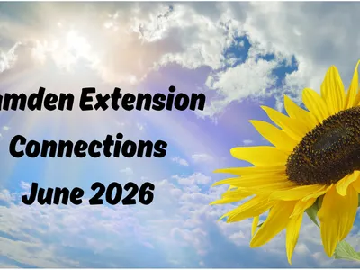 sunflower with blue sky and Camden Extension Connections June 2026