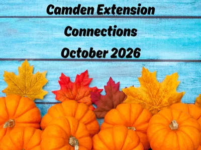 pumpkins with Camden Extension Connections October 2026