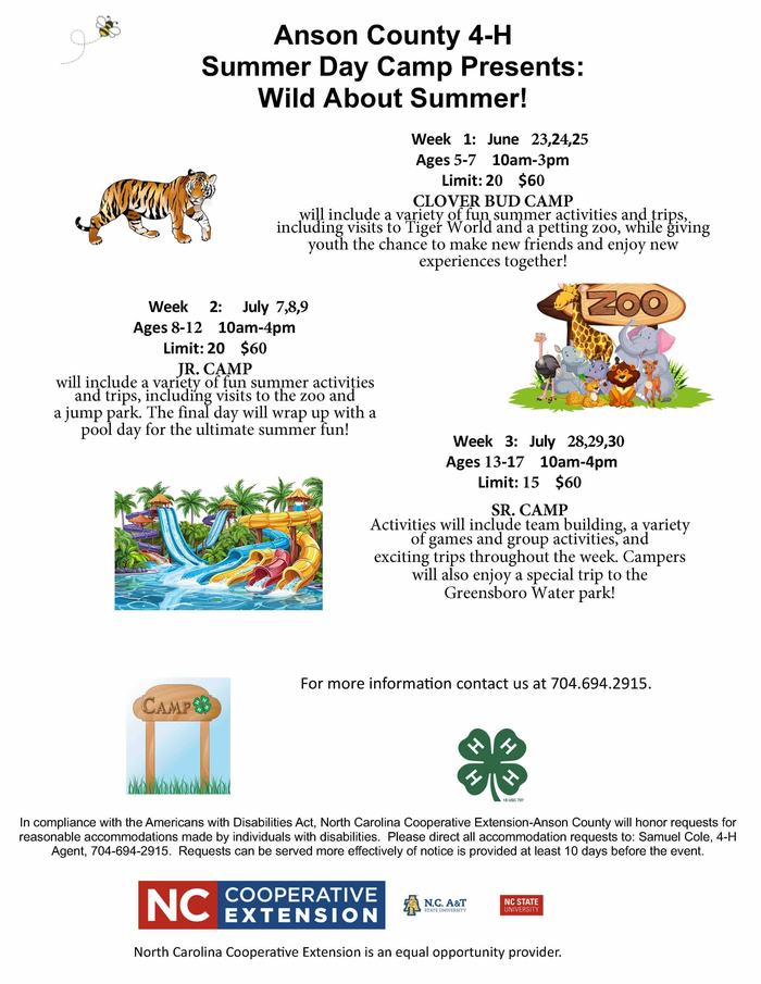 Anson County 4-H Summer Day Camp Flyer with information on sessions, cost, and registration.