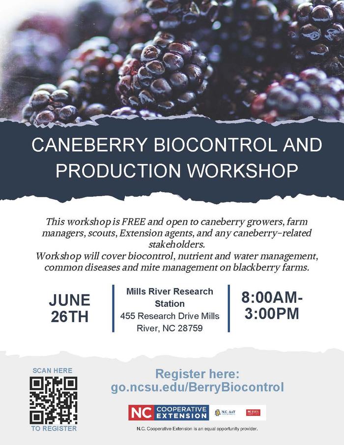 flyer of the workshop summarizing key information about the event already included in the post