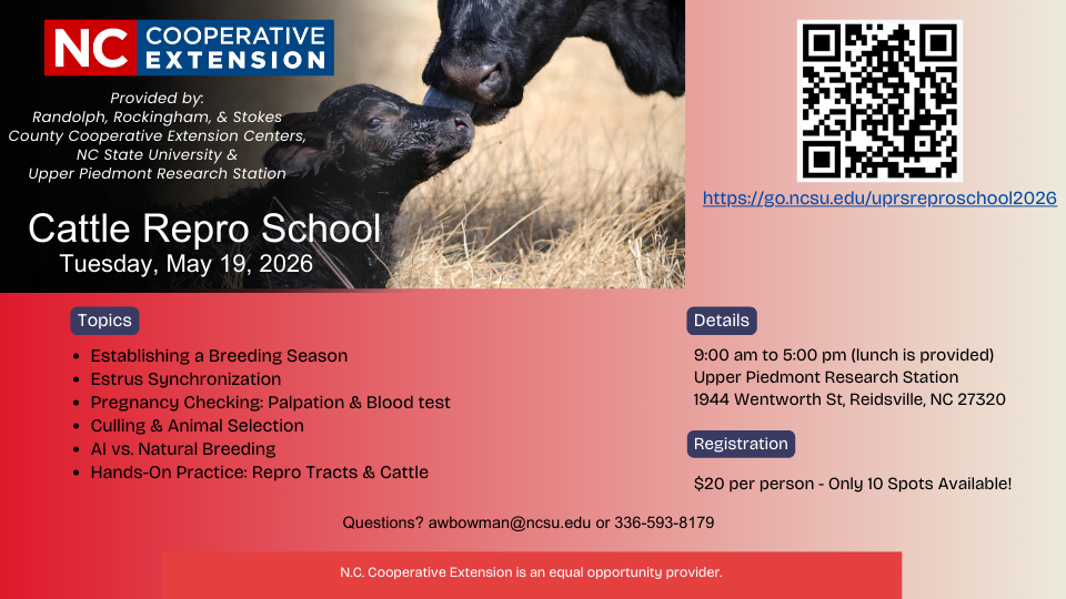 cattle repro school flyer