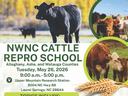 Cattle preor school