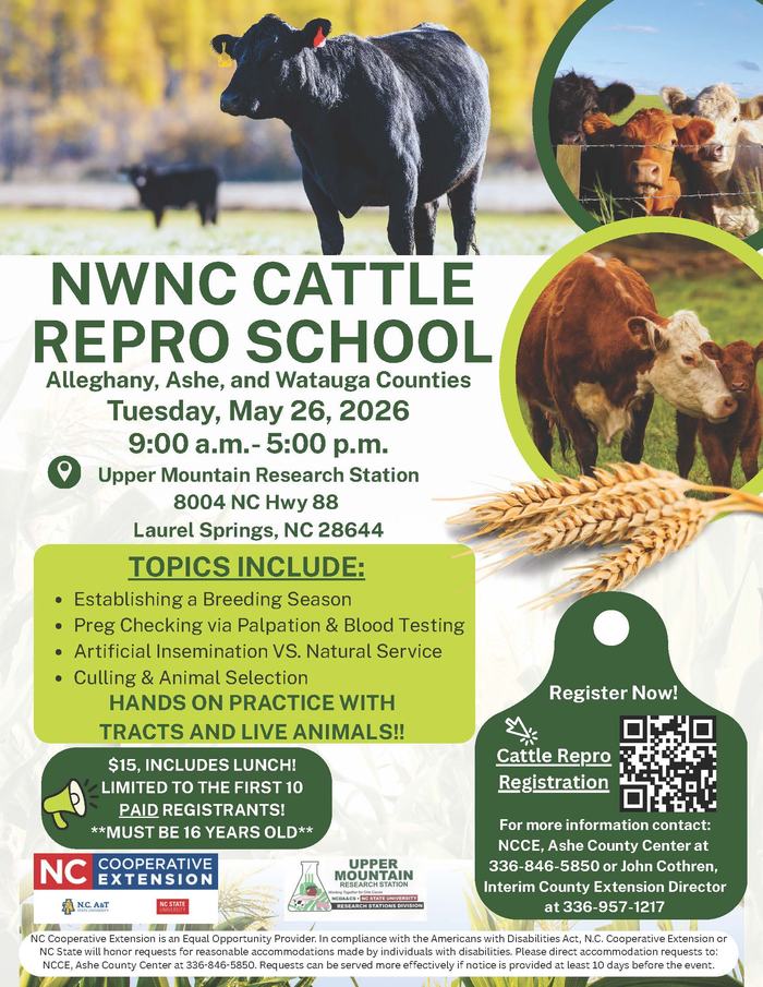 Cattle preor school