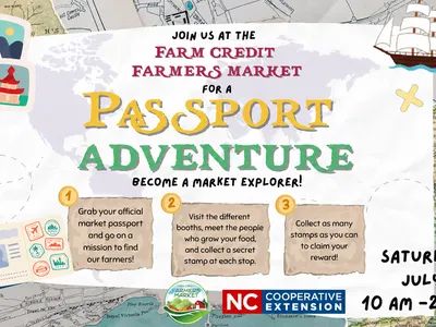 PIRATE MAP with passport activity rules