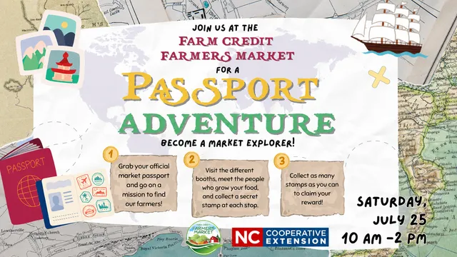 PIRATE MAP with passport activity rules
