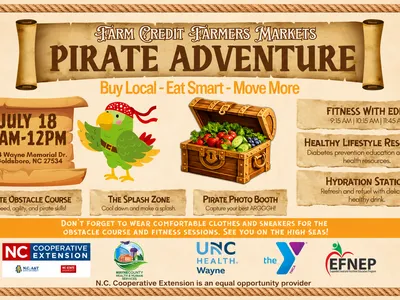 pirate adventure at the market with pirate-themed treasure map paper and a green parrot