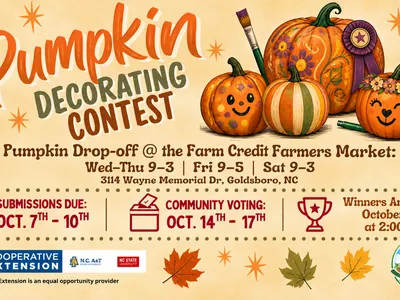 pumpkin decorating contest