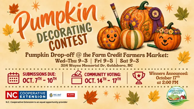 pumpkin decorating contest