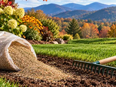 image of spilled grass seed and a rake with mountains in the background