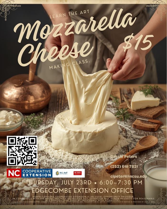 mozzarella cheese