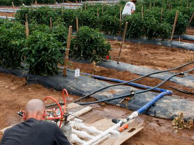 Chemigation test setup