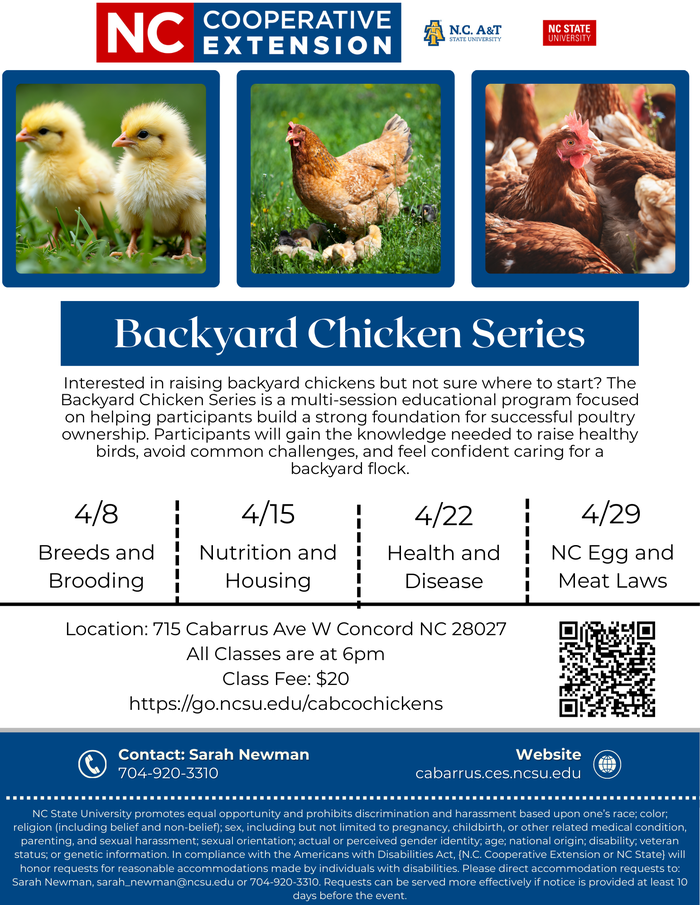 Backyard Chicken Series Flyer