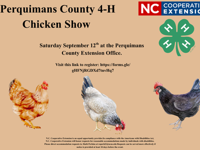 Perquimans County 4-H Chicken Show Flyer
