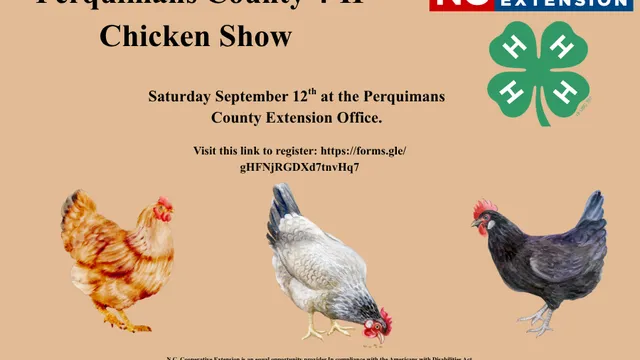 Perquimans County 4-H Chicken Show Flyer
