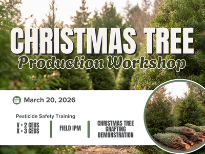 Christmas Tree Farm with workshop information included